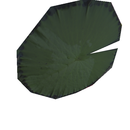 leaf 2